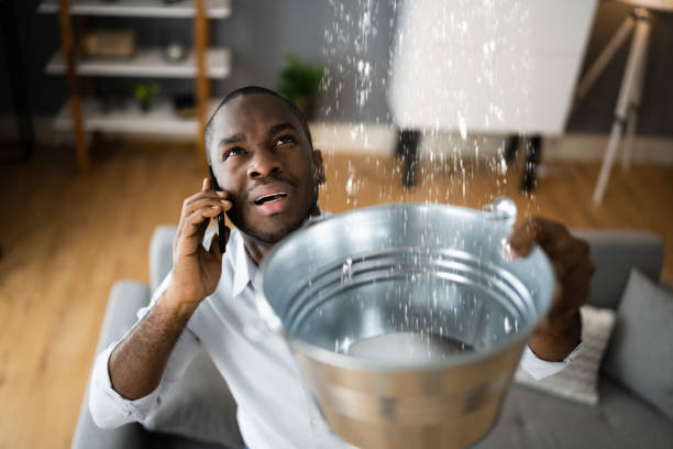 Best Local water damage restoration  in New Smyrna Beach, FL