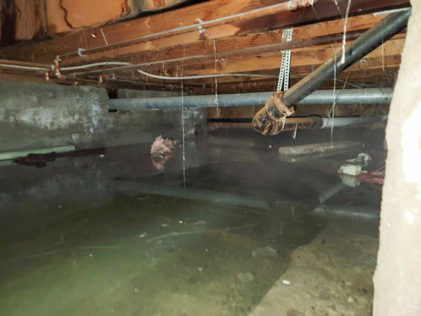 Best Water damage restoration insurance claims  in New Smyrna Beach, FL