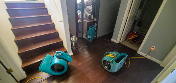 Best Water damage restoration cost  in New Smyrna Beach, FL