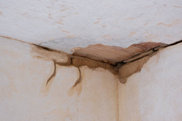 Best Flooded house restoration  in New Smyrna Beach, FL