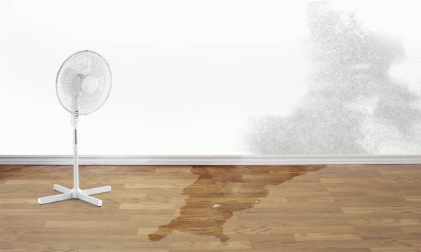 Best Emergency water damage restoration  in New Smyrna Beach, FL