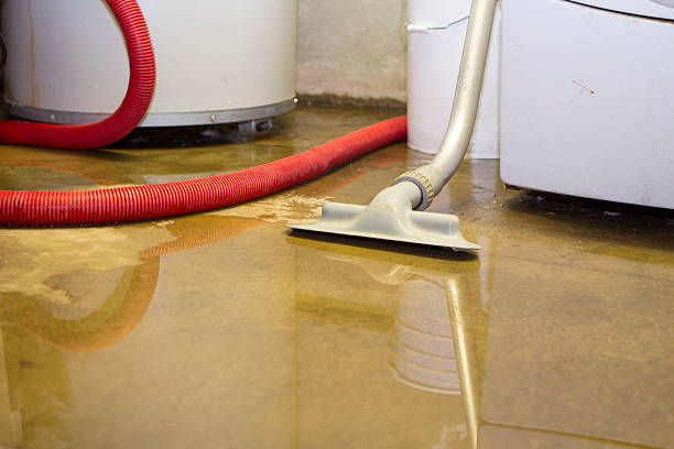 Best Carpet water damage restoration  in New Smyrna Beach, FL