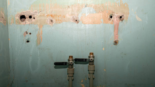Best Local water damage restoration  in New Smyrna Beach, FL