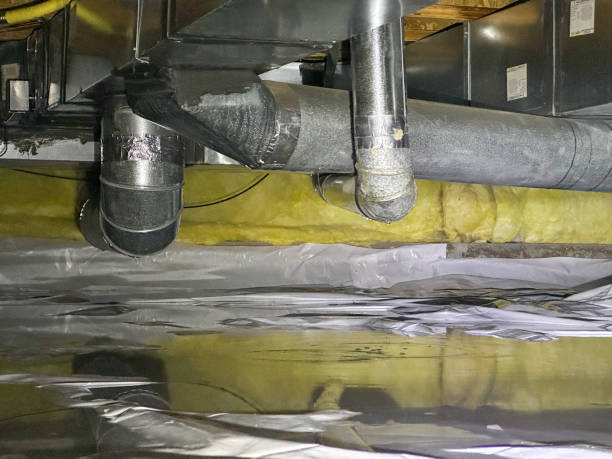 Best Sewage cleanup and water damage restoration  in New Smyrna Beach, FL