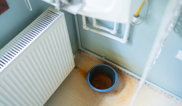 Best Professional water damage repair  in New Smyrna Beach, FL