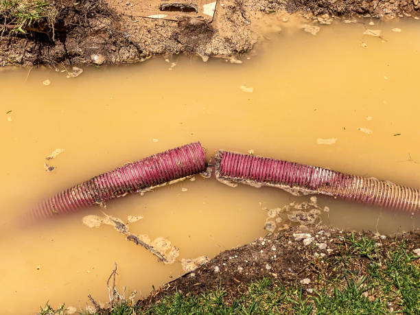 Water damage restoration insurance claims in FL