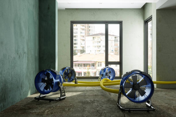 Best Sewage cleanup and water damage restoration  in New Smyrna Beach, FL